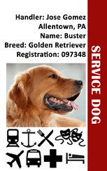 Purchase Free Service Dog Id Tags Up To 68 Off